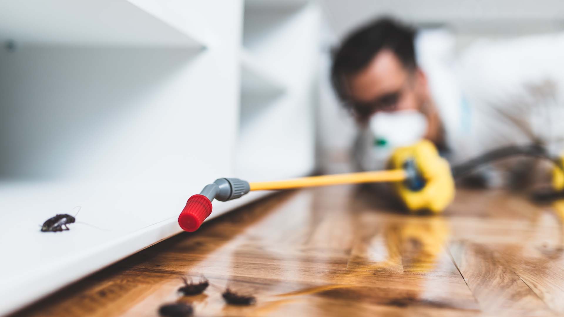 Pest Control Service