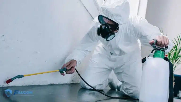 افضل شركة مكافحة حشرات الاسكندرية