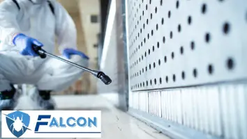 أفضل شركة مكافحة القوارض والحشرات في مصر