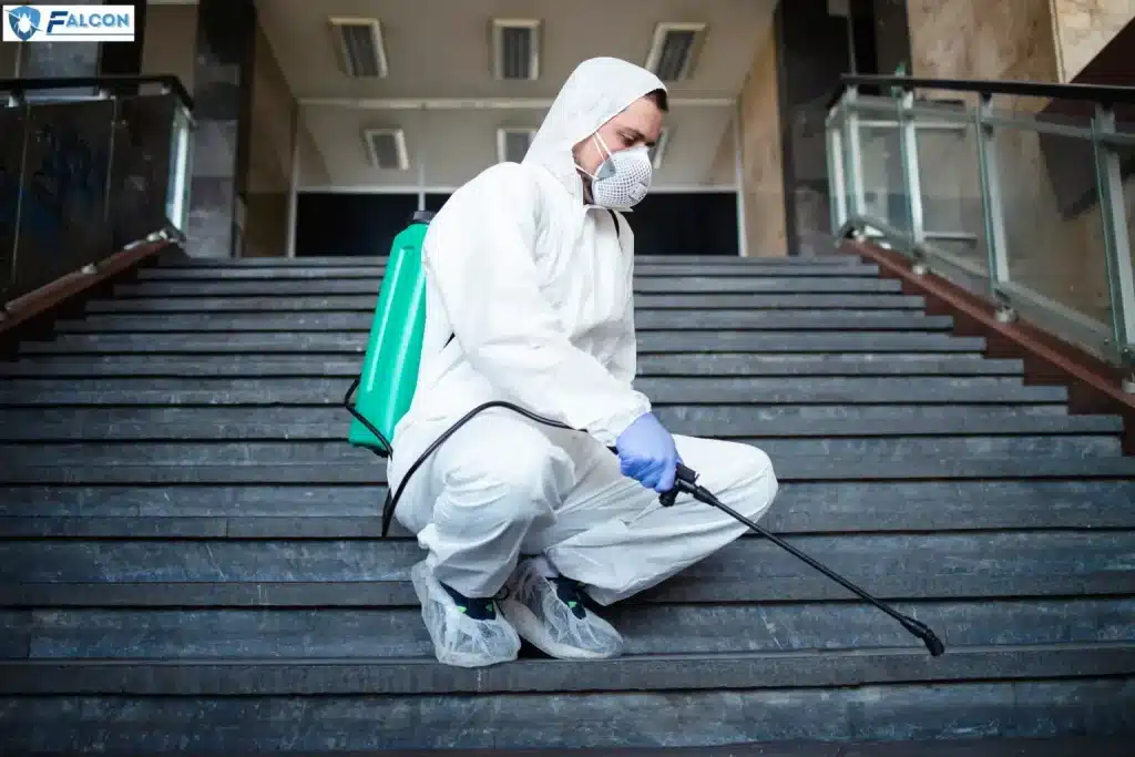 كيفية التخلص من الفئران في المنزل نهائيا