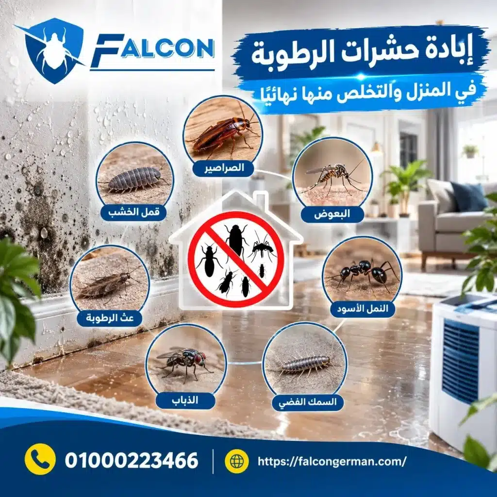 إبادة حشرات الرطوبة في المنزل