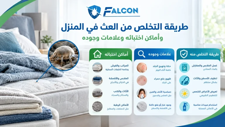 طريقة التخلص من العث في المنزل و أماكن اختبائه وعلامات وجوده