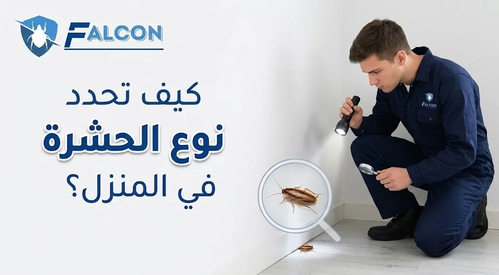 كيف تحدد نوع الحشرة التي ظهرت في المنزل؟