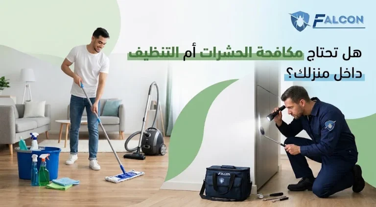 هل تحتاج مكافحة الحشرات أم التنظيف داخل منزلك؟